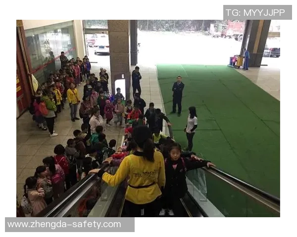 狼树叶之足球明星的成长故事与梦想追逐之旅 狼树叶之足球明星的成长故事与梦想追逐之旅