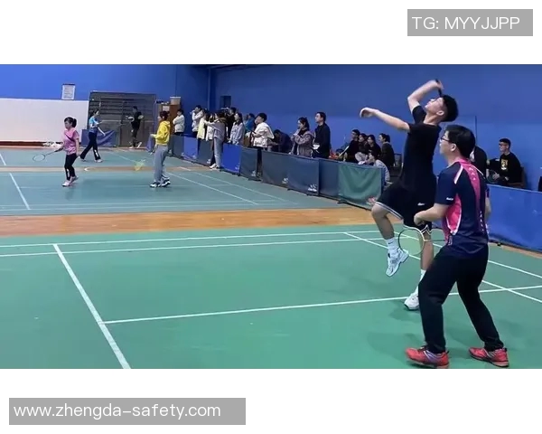 对话羽毛球名将王敏探讨她的职业生涯与成长历程 对话羽毛球名将王敏探讨她的职业生涯与成长历程