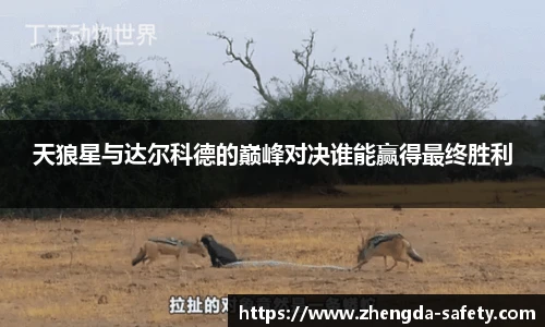 尊龙凯时官方网站，尊龙凯时ag旗舰厅